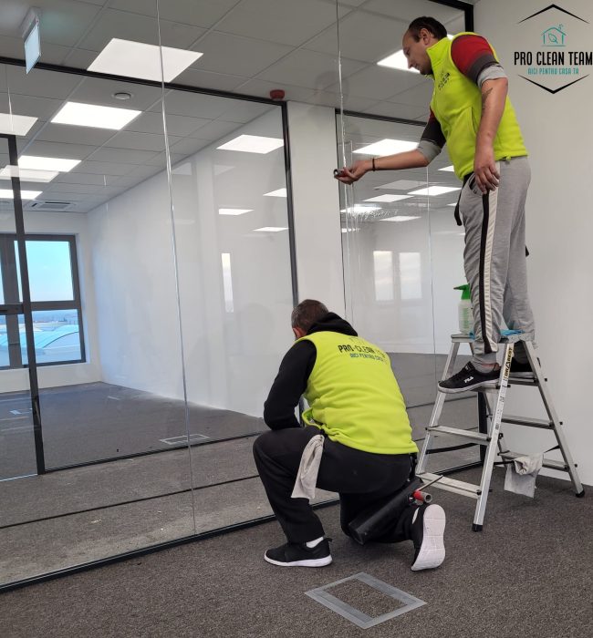 Curatenie Oradea Pro Clean Team 1